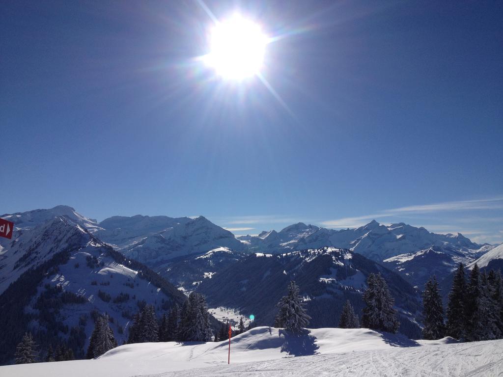 Vista Resort Hostel Zweisimmen Buitenkant foto